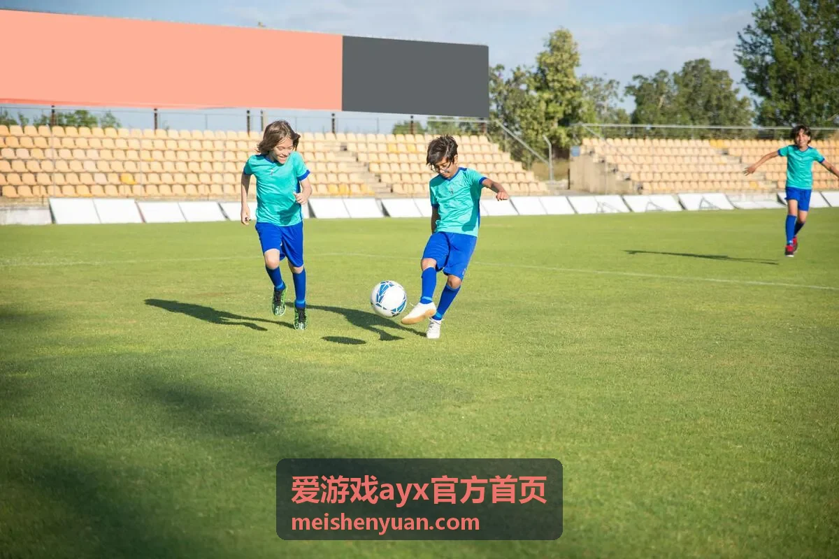 爱游戏ayx官方首页起手确认清单配图