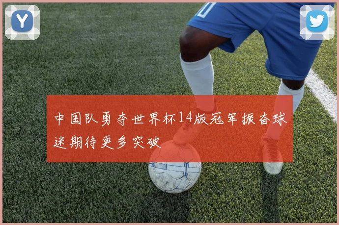 中国队勇夺世界杯14版冠军振奋球迷期待更多突破